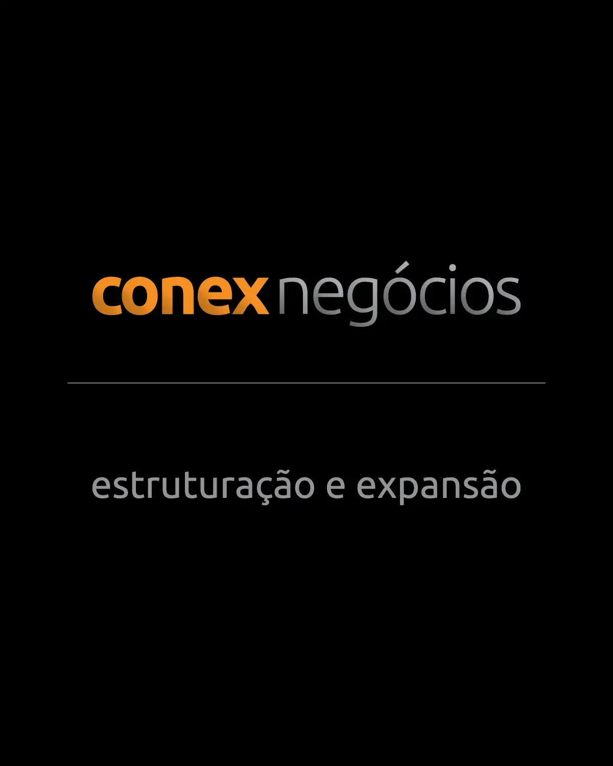 conex négocios expansão estruturação franquias