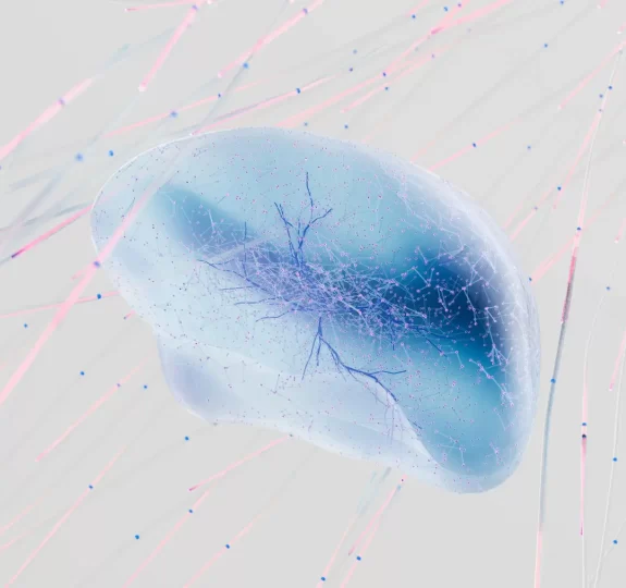 Humanização: Construindo Conexões Genuínas em um Mundo Virtual