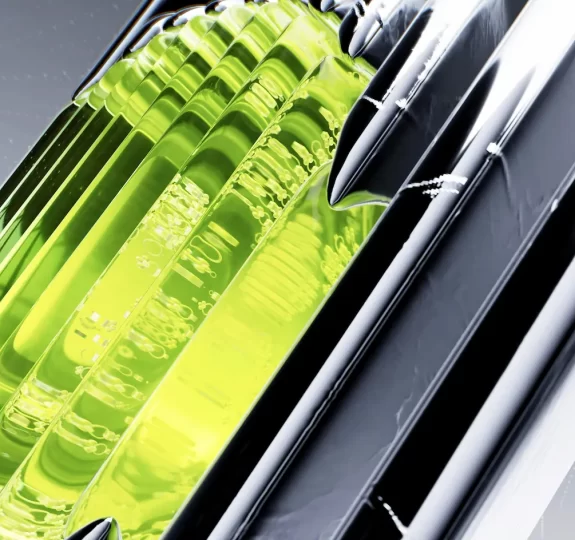 Comportamento de Compra no Brasil: Descubra as Motivações